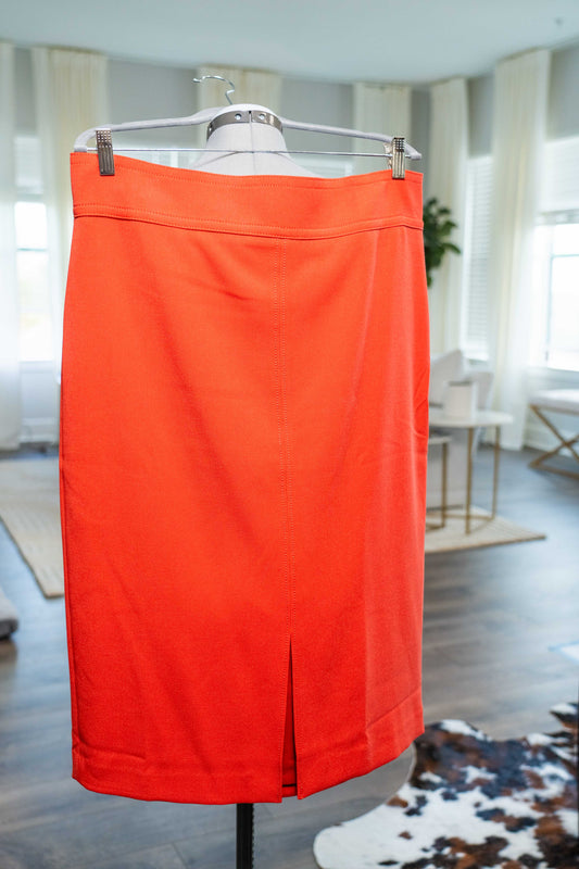 Ann Taylor Midi Skirt