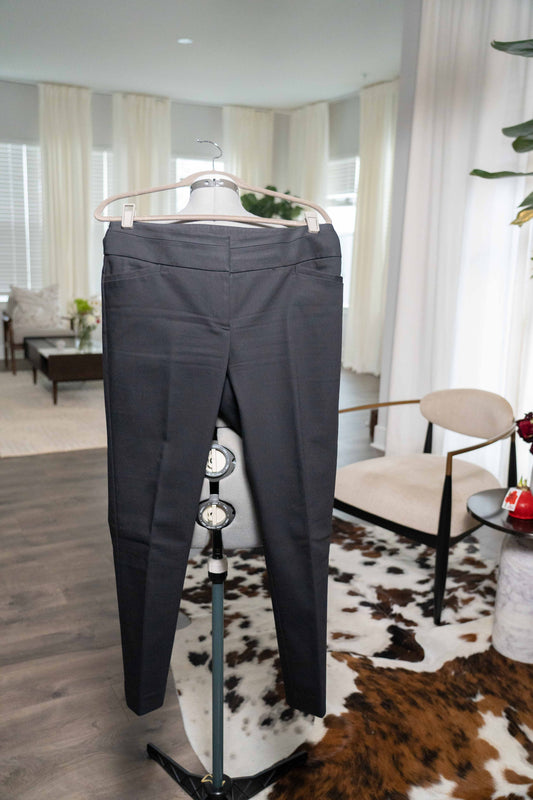 Ann Taylor Loft Pants (Julie Skinny