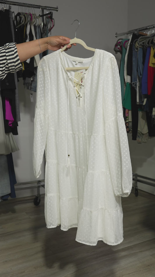 Daniel Rainn Dress - Size Large